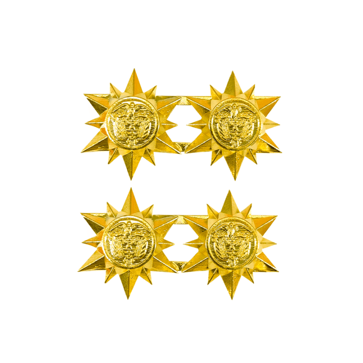 Insignia Brigadier General