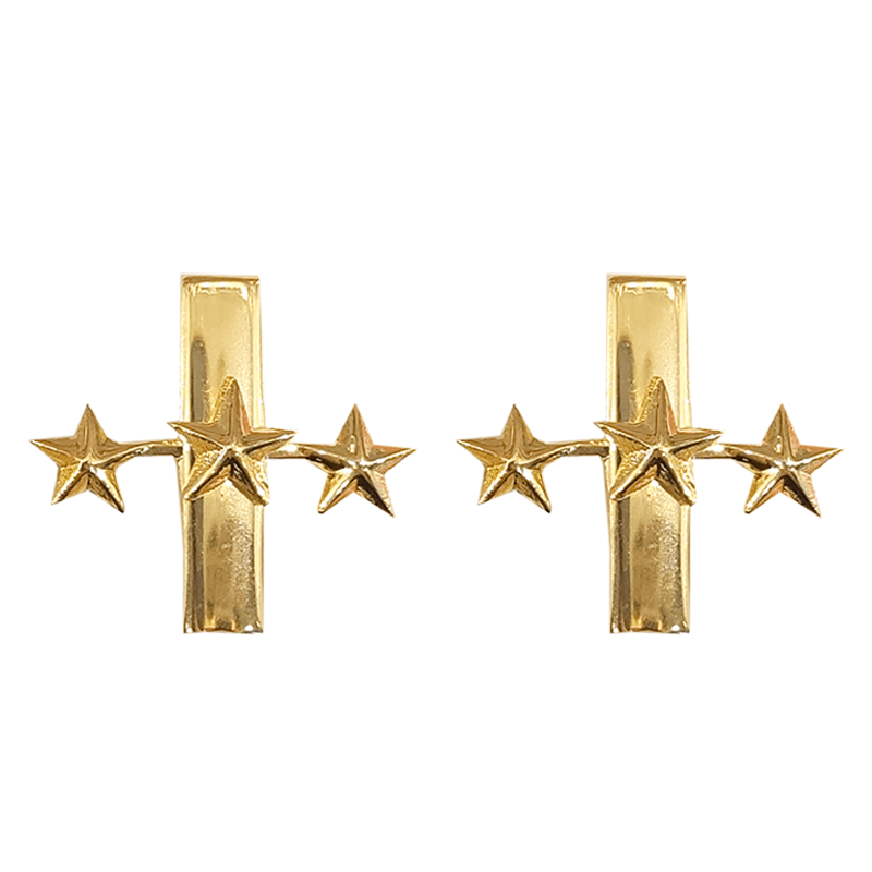 Insignia Coronel Pequeña